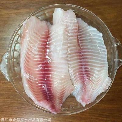 红鲷鱼做法,海红鱼的做法大全