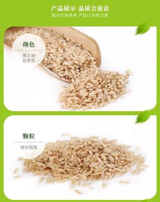 糙米和大米的区别,糙米和大米的区别及功效